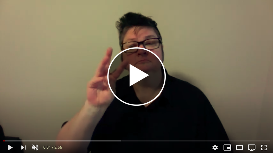 Mae Sellers, a non-binary queer Deaf person, wearing a black shirt and black glasses, with dark short hair, sideburns, and a labret piercing, explains the new WSRID DEI Audit committee.